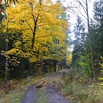 Tyrolska