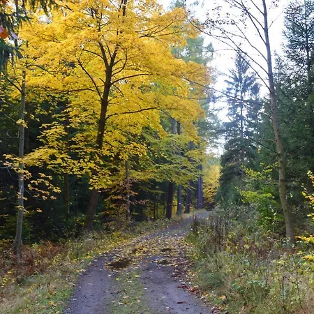 Tyrolska