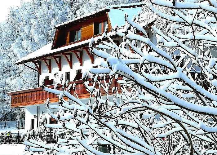 Homestay Tyrolska Swieradow-Zdroj